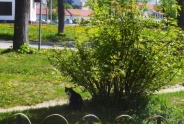 photo1