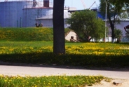 photo12