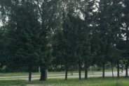 photo15