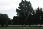 photo17