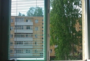 photo7