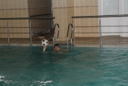 img_9409_800x533