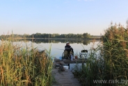 fisher005