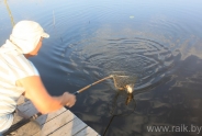 fisher011